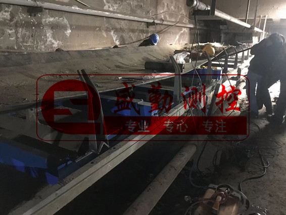 皮帶秤(吉林眾合生物質)